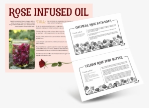 Sample Content - - Loosestrife And Pomegranate Family