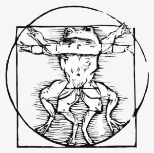 Biography - Double Elephant Press