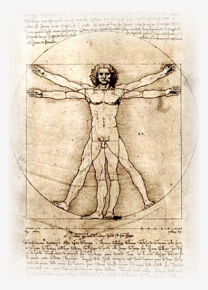 Chelovek - Proportions Of The Human Figure (the Vitruvian Man)