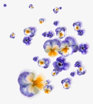 Floating Flowers Png - Satnam