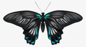 Black Blue Butterfly Png Clip Art Image - Black Butterfly Clipart Png