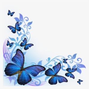 Download Butterfly Png Free Hd Butterfly Transparent Image Page 3 Pngkit