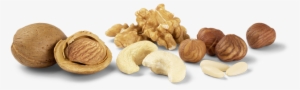 As A Specialist For All Kinds Of Nuts, Such As Hazelnuts, - Nüsse Png