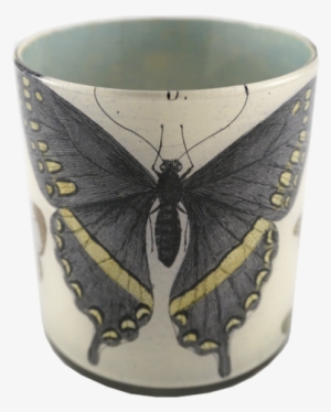 Blue Butterfly - Papilio Machaon