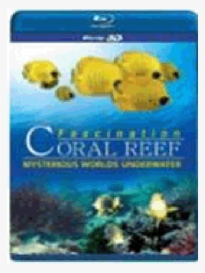 Coral Reef 3d - Fascination Coral Reef 3d Mysterious Worlds Underwater