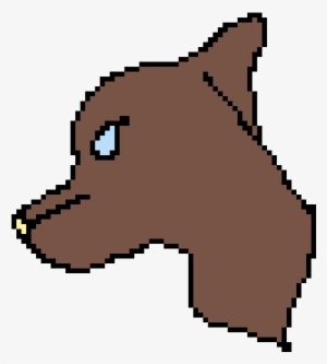 Dank-memes Com - Dog