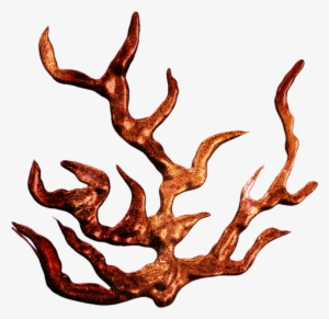 Howlingdreams's Deviantart Favourites - Coral Drawing Transparent Background