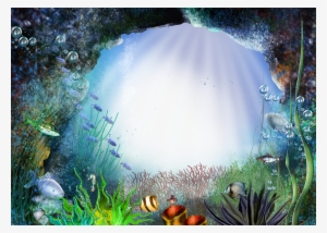 Coral Reef Png