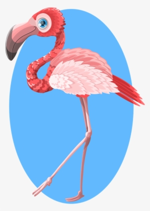 Flamingo Clipart Swimming - Flamingo