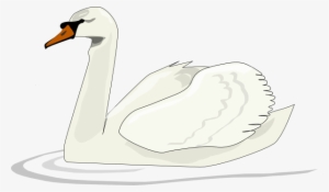 Original Png Clip Art File Swan Swimming Svg Images