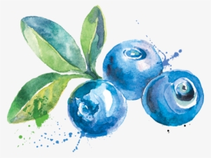 Attainable - Blueberry Watercolor