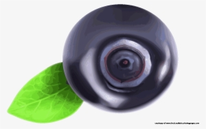 9 Fascinating Blueberry Fruit Clipart Fruit Names Az - Blueberry