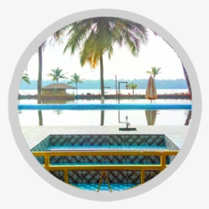 Swimming - Palm Tree