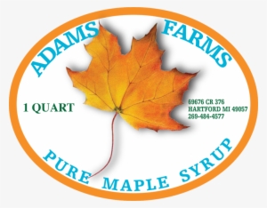 Shri Ram Global Pre School