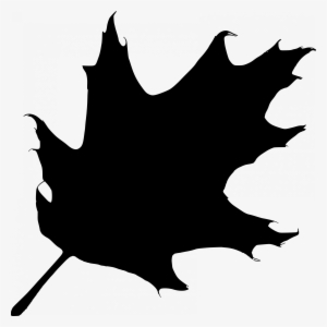 Maple Leaf Clipart Acorn - Leaf Silhouette Clip Art