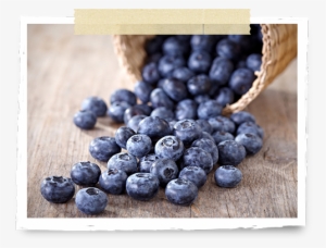 Blueberries - Children Eating Blueberries