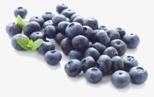 Blueberries Png Image - Blue Berry Png