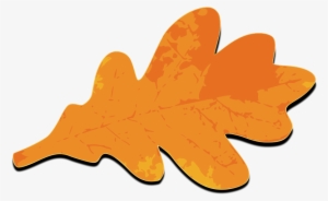 Fall Leafs Orange Png Images - Oak Leaves Clip Art