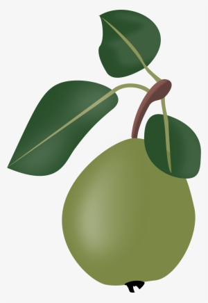 This Free Icons Png Design Of Stew Pear With Leafs