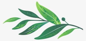 Leaves - Portable Network Graphics