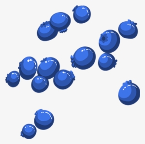 Blueberries - Bead