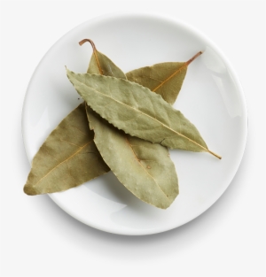 Laurel Leaves - Doypack