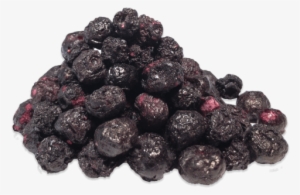 Bulk Blueberries - Blueberry
