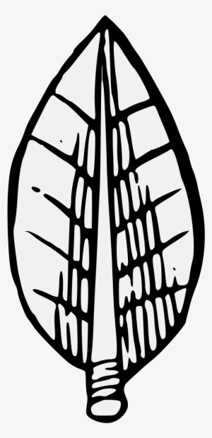 Details, Png - Bay Laurel