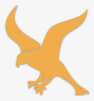 Welcome To Drake Drake - Falcon Python