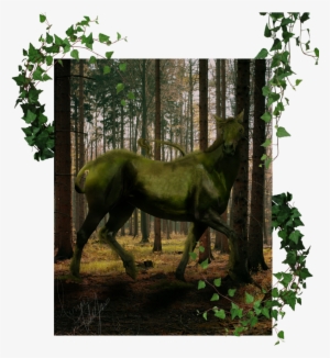 Jungle By Black Lotus Designs - Portable Network Graphics