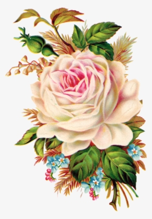Neste Blog Voc Poder Encontrar Lindas Imagens - Vintage Rose Clip Art