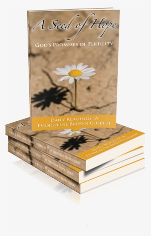 Ash Cover Stack Fiverr - Seed Of Hope: God's Promises Of Fertility [book]