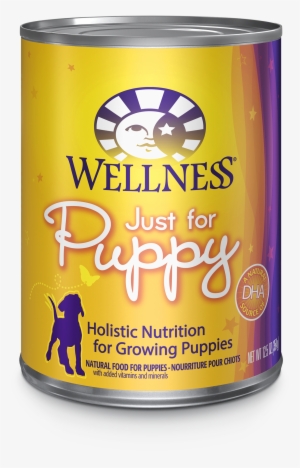 Complete Health - Wellness Wellbites Lamb & Salmon Dog Treat