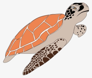 This Free Icons Png Design Of Sea Turtle