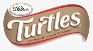 Demets Turtles Logo