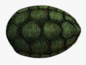 430k Turtle - Circle