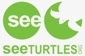 Seeturtleshighres - See Turtles Logo