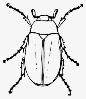 Image Bugs Drawing Steampunk - Beetle Animal Black And White