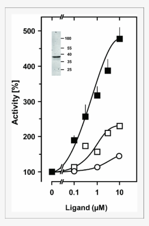 Stimulation Of The Chimera Cqss 1 181 F166l Rv1625c - Ligand