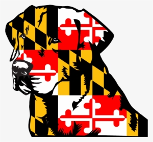 Maryland 3'x5' Flag Usa United States