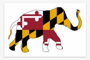 Elephant Overlaid With The Maryland Flag - Indian Elephant