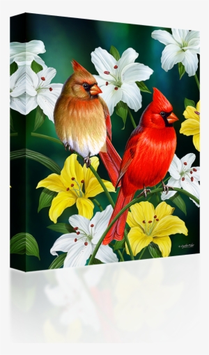 Cardinals - Cardinal Bird With Flowers