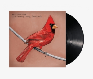 Old Crows / Young Cardinals - Old Crows Young Cardinals