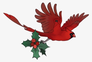 Cardinal Vector Flying - Cardinal Flying With A Ribbon