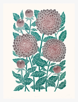 Dahlias - Lili Arnold