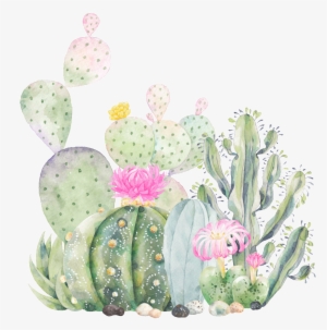 Hand Painted Cactus Plant Png Transparent - Succulent Business Card Designs Templates