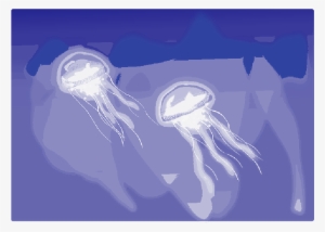 Mb Image/png - Jellyfish