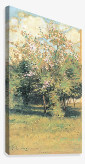 Blooming Trees By Hassam Canvas Print