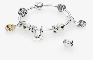 Pandora At The Forefront In Responsible Sourcing - Nuova Collezione Pandora Autunno 2017