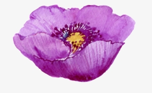 Este Gráficos Es Pintado A Mano De La Flor Morada Png - Flower